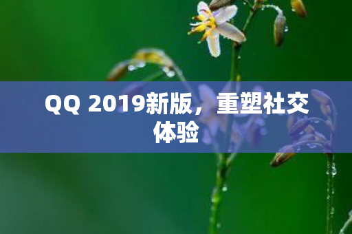 QQ 2019新版图片