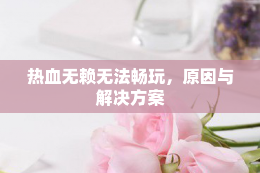 热血无赖无法畅玩图片