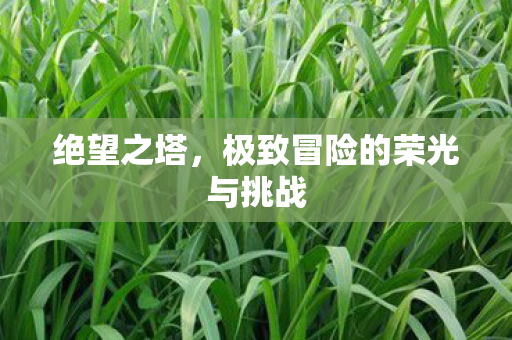 极致冒险的荣光与挑战图片