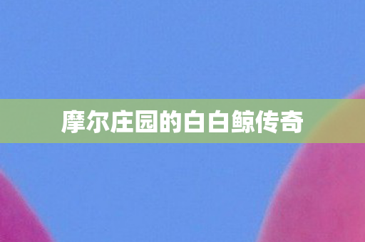 摩尔庄园的白白鲸传奇图片