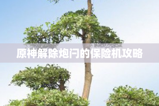 原神解除炮闩的保险机攻略图片