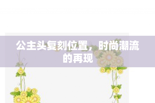 公主头复刻位置图片