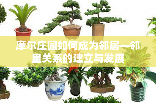 摩尔庄园如何成为邻居图片