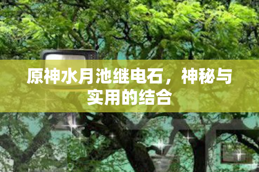原神水月池继电石图片