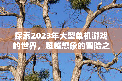 探索2023年大型单机游戏的世界图片