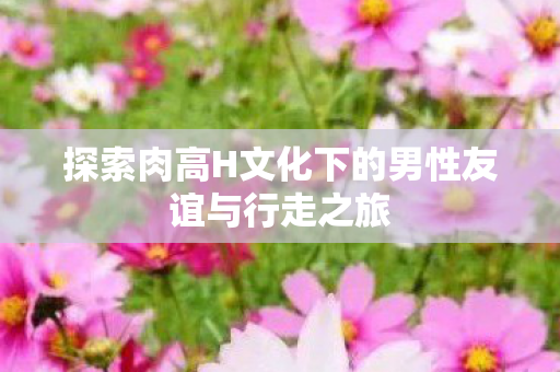 探索肉高H文化下的男性友谊与行走之旅图片