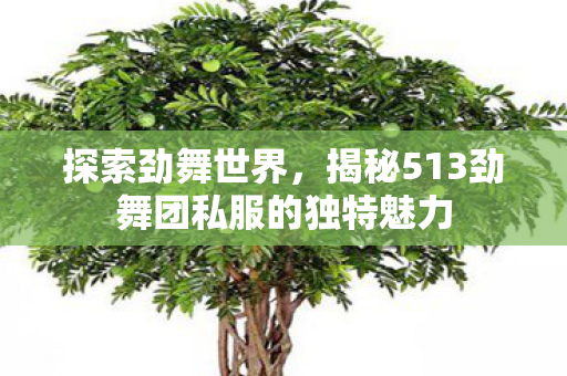 揭秘513劲舞团私服的独特魅力图片