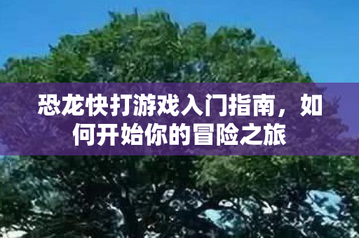 恐龙快打游戏入门指南图片