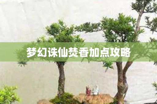 梦幻诛仙焚香加点攻略图片