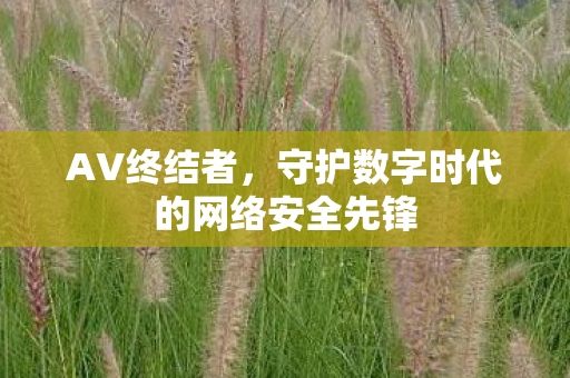 守护数字时代的网络安全先锋图片
