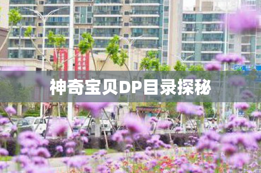 神奇宝贝DP目录探秘图片