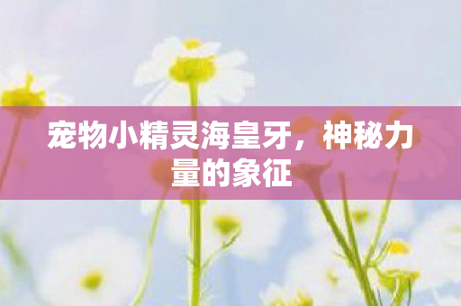 宠物小精灵海皇牙图片