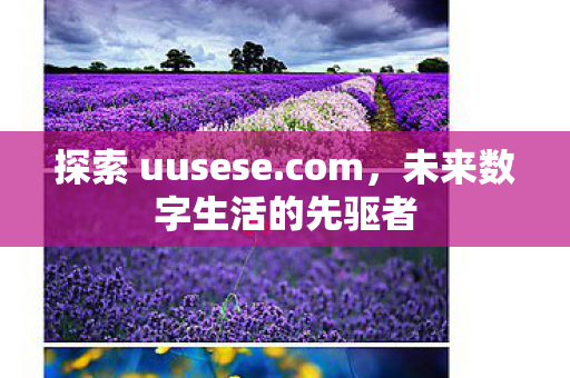 未来数字生活的先驱者图片