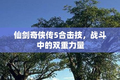 仙剑奇侠传5合击技图片
