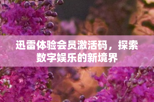 探索数字娱乐的新境界图片