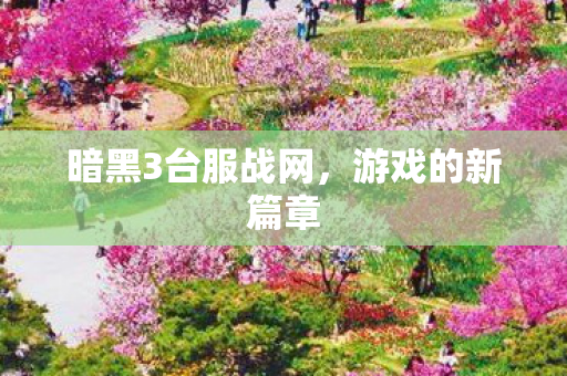 暗黑3台服战网图片