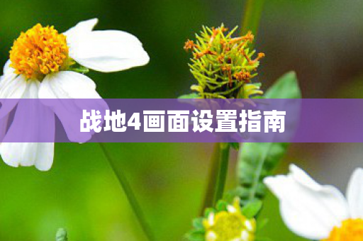 战地4画面设置指南图片