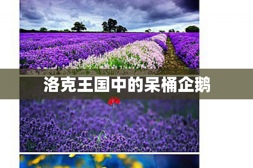 洛克王国中的呆桶企鹅图片