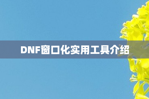 DNF窗口化实用工具介绍图片