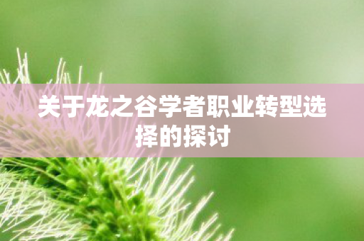 关于龙之谷学者职业转型选择的探讨图片