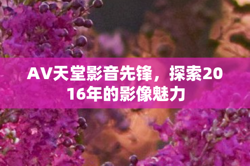 探索2016年的影像魅力图片