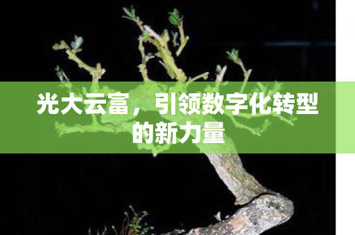 引领数字化转型的新力量图片