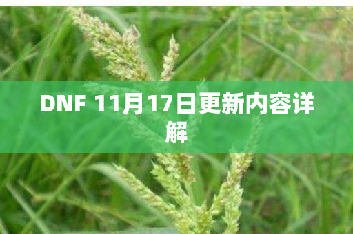 DNF 11月17日更新内容详解图片