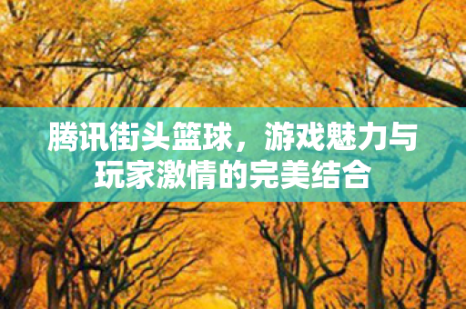 游戏魅力与玩家激情的完美结合图片