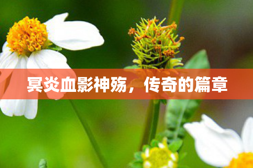 冥炎血影神殇图片