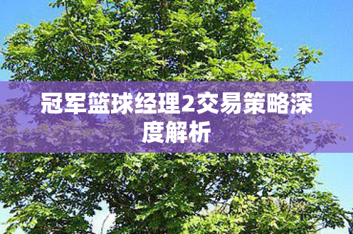 冠军篮球经理2交易策略深度解析图片