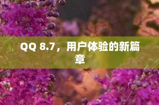 用户体验的新篇章图片