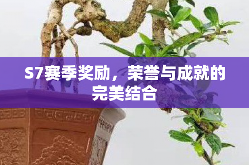 荣誉与成就的完美结合图片