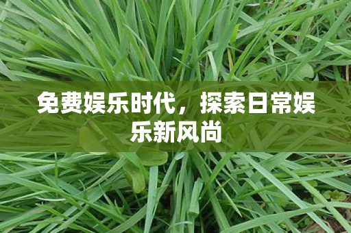 探索日常娱乐新风尚图片
