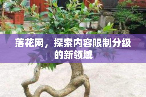 探索内容限制分级的新领域图片