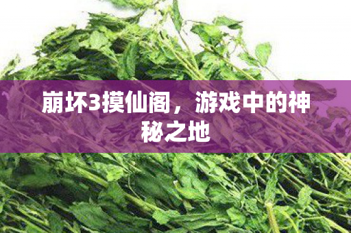 游戏中的神秘之地图片