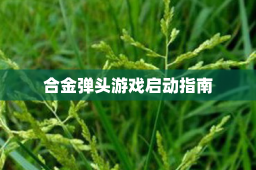 合金弹头游戏启动指南图片