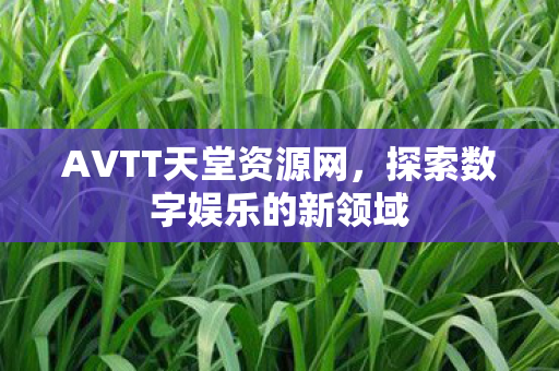 探索数字娱乐的新领域图片