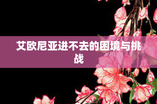艾欧尼亚进不去的困境与挑战图片