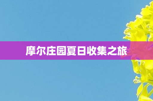 摩尔庄园夏日收集之旅图片