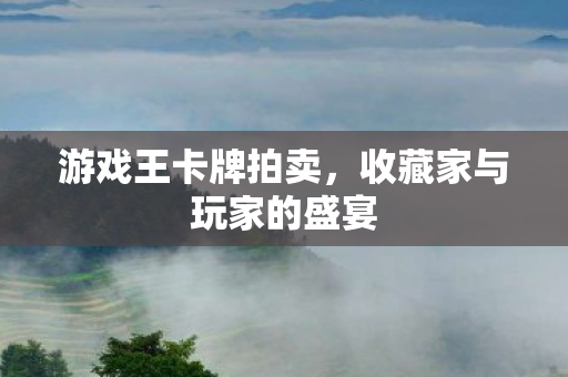 收藏家与玩家的盛宴图片