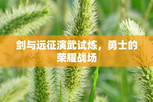 剑与远征演武试炼图片