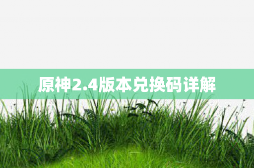 4版本兑换码详解图片