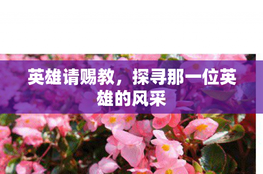 探寻那一位英雄的风采图片