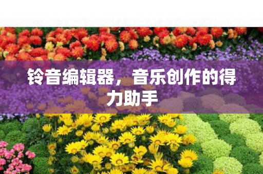 音乐创作的得力助手图片