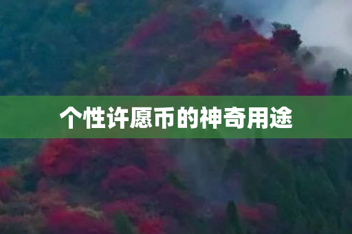 个性许愿币的神奇用途图片