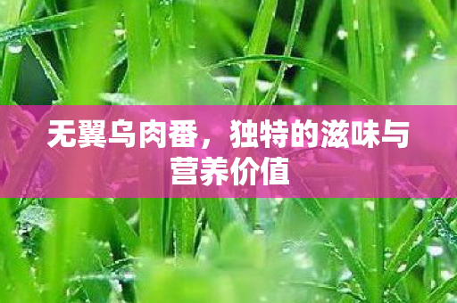 独特的滋味与营养价值图片