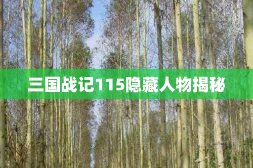 三国战记115隐藏人物揭秘图片