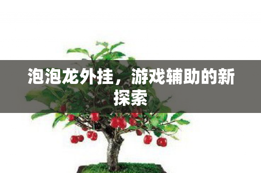 游戏辅助的新探索图片