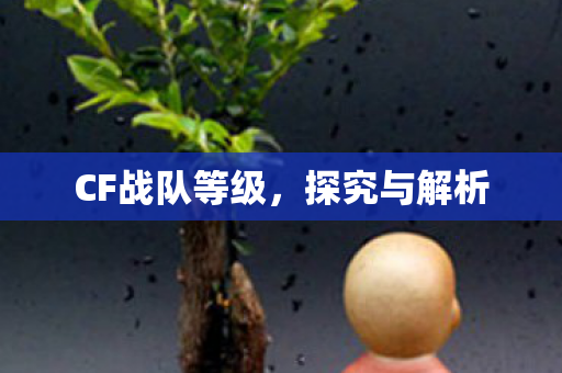 CF战队等级图片