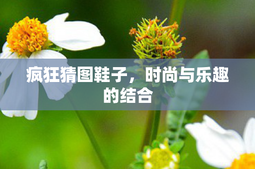 时尚与乐趣的结合图片